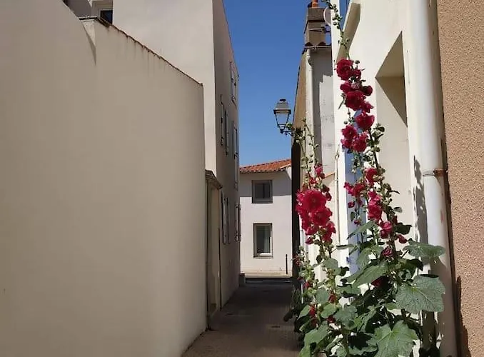 Le Sunny Duplex Hypercentre La A 2 Pas ! Appartement