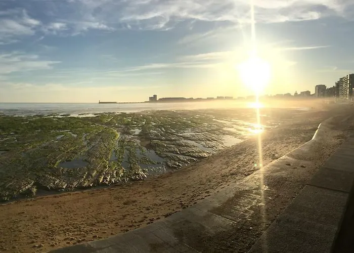 Le Sunny Duplex Hypercentre La A 2 Pas ! *